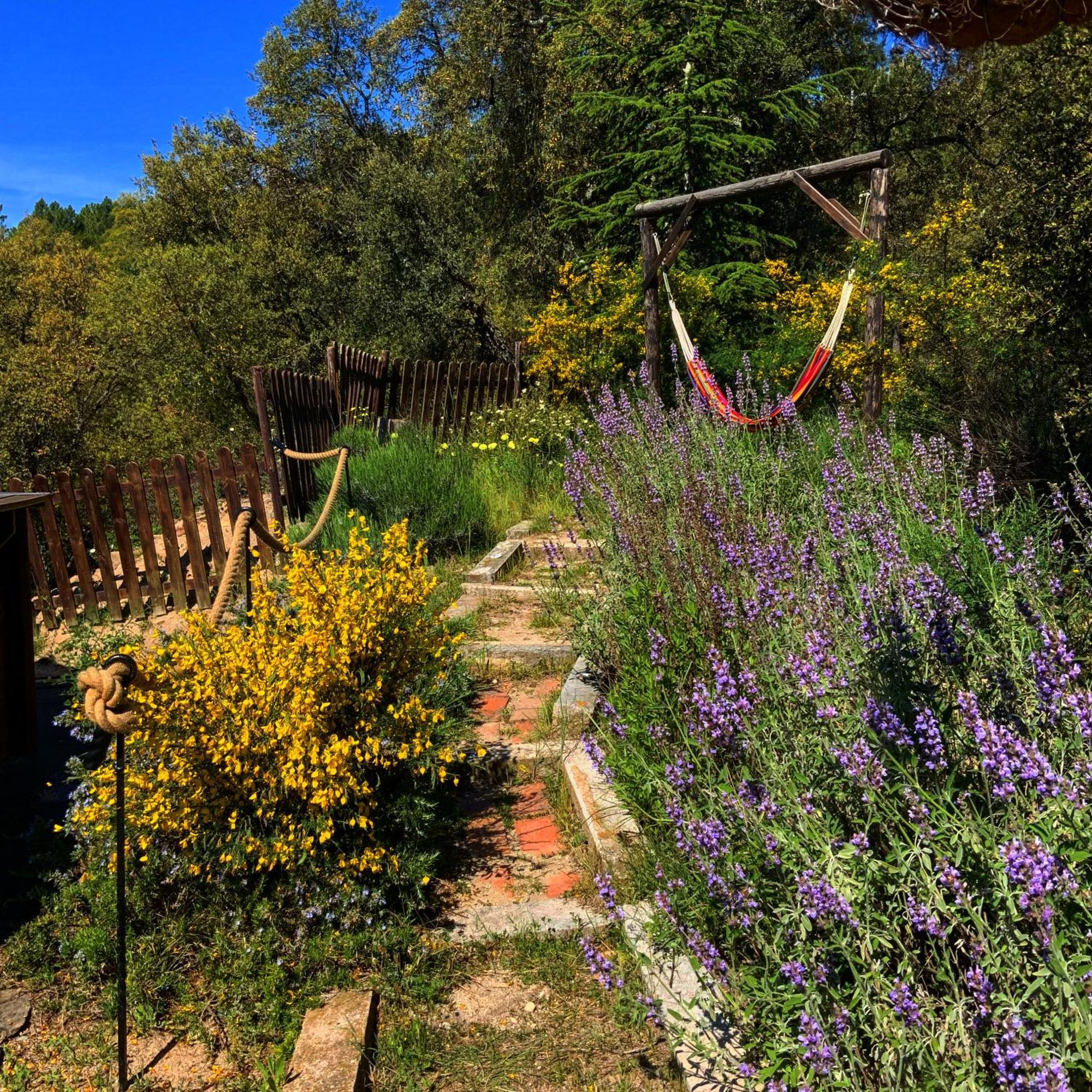 Can Canaleta Hotel Rural Santa Coloma De Farners Dış mekan fotoğraf