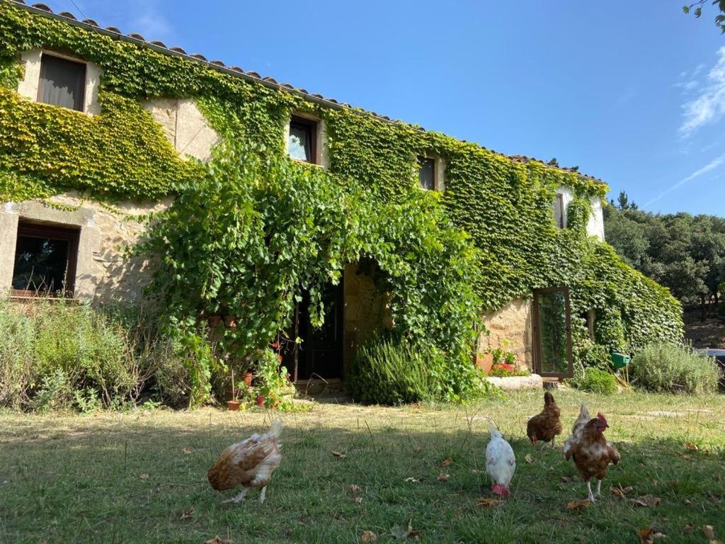 Can Canaleta Hotel Rural Santa Coloma De Farners Dış mekan fotoğraf